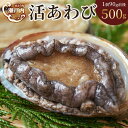 【ふるさと納税】瀬戸内あわび（活）500g（1個90g前後） | 香川県 坂出市 香川 四国 楽天ふるさと 納税 返礼品 支援 お取り寄せグルメ 取り寄せ グルメ 食品 魚介類 魚介 海の幸 海産物 あわび アワビ 鮑 生食 むしあわび お取り寄せ 特産品 おいしい 美味しい 刺し身 刺身