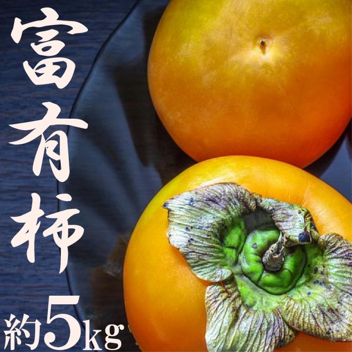 【ふるさと納税】甘柿の王様！富有柿約5kg