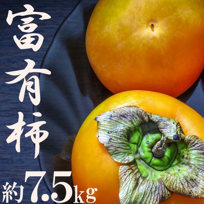 【ふるさと納税】甘柿の王様！富有柿約7.5kg