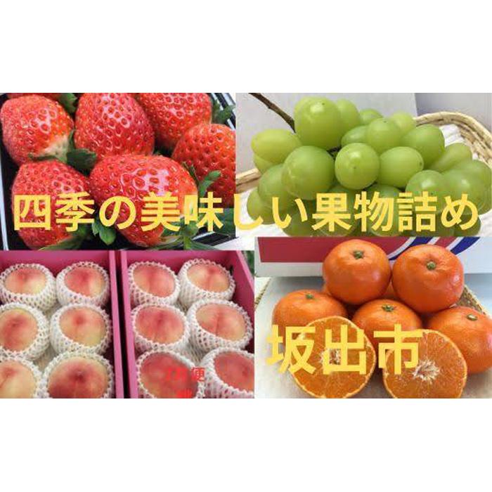 【ふるさと納税】<定期便>四季の美味しい果物詰め...の商品画像