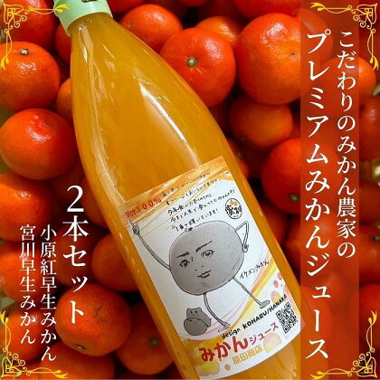 プレミアムみかんジュース(小原紅早生・宮川早生)　1,000ml×2本セット | 飲料 果実飲料 ドリンク 食品 人気 おすすめ 送料無料