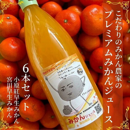 プレミアムみかんジュース(小原紅早生・宮川早生)　1,000ml×6本セット | 飲料 果実飲料 ドリンク 食品 人気 おすすめ 送料無料