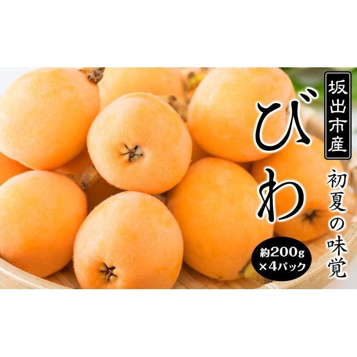 びわ 坂出市産 約1.6kg ( 4パック × 2箱 )|初夏の味覚 | フルーツ 果物 くだもの 食品 人気 おすすめ 送料無料