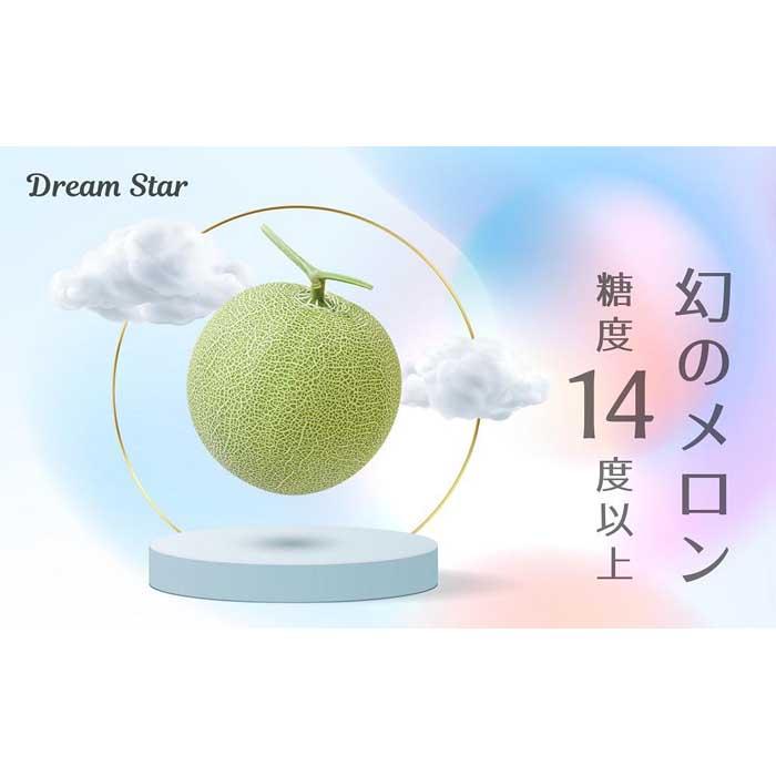 【ふるさと納税】さぬきメロン Dream Star 1.3kg以上｜メロン 糖度 14度以上 甘い フルーツ 果物 くだもの 特産 ふるさと 坂出市 香川 さぬき 食品 人気 おすすめ 送料無料