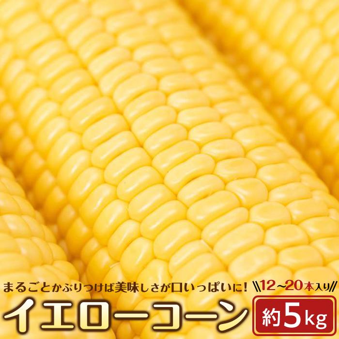 とうもろこし イエローコーン 約5kg ( 12 〜 20本 ) | 野菜 やさい 食品 人気 おすすめ 送料無料