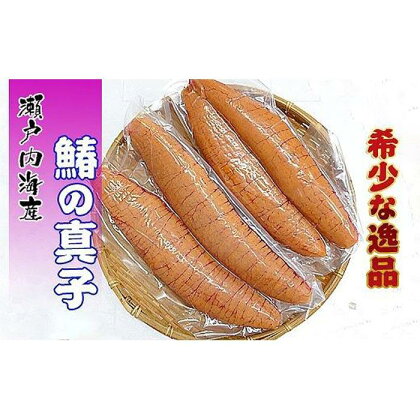 鰆の真子 希少品 瀬戸内海産の朝獲れ 約800g ( 約4本 ) 限定10セット！【配送不可地域：北海道・沖縄県・離島】 | 魚卵 鰆の真子 さわら 魚介類 水産 食品 人気 おすすめ 送料無料 香川県坂出市