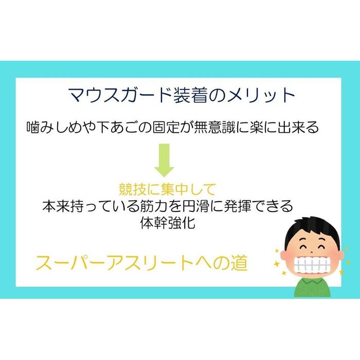 【ふるさと納税】スポーツ用マウスガード　導入トレーニング向け　2mmクリア | スポーツ　グッズ 人気 おすすめ 送料無料 3