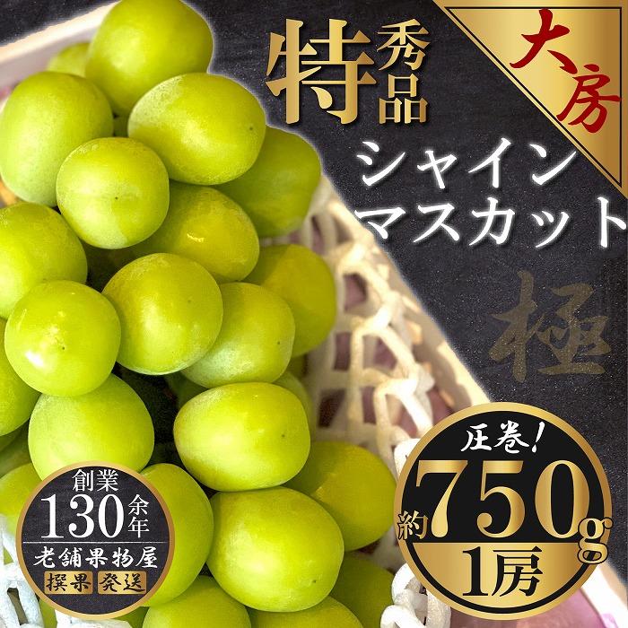 ・ふるさと納税よくある質問はこちら ・寄付申込みのキャンセル、返礼品の変更・返品はできません。あらかじめご了承ください。 ・ご要望を備考に記載頂いてもこちらでは対応いたしかねますので、何卒ご了承くださいませ。 ・寄付回数の制限は設けておりま...