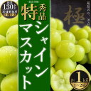 ・ふるさと納税よくある質問はこちら ・寄付申込みのキャンセル、返礼品の変更・返品はできません。あらかじめご了承ください。 ・ご要望を備考に記載頂いてもこちらでは対応いたしかねますので、何卒ご了承くださいませ。 ・寄付回数の制限は設けておりま...