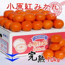 【ふるさと納税】小原紅早生みかん 香川県産 約10kg ( S ~ Lサイズ ) | みかん | フルーツ 果物 くだもの 食品 人気 おすすめ 送料無料(4)