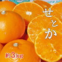 【ふるさと納税】<果汁たっぷりコクのある甘みが自慢>せとか3kg詰め合わせ | 香川県 坂出市 香川 四国 楽天ふるさと 納税 返礼品 お取り寄せグルメ 取り寄せ グルメ 食品 フルーツ 果物 くだもの 柑橘 柑橘類 かんきつ類 かんきつ ご自宅用 家庭用 お取り寄せ おいしい(4)