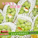 【ふるさと納税】《2025年発送》大粒 シャインマスカット セット 秀品 約5kg ( 6〜10房 ) 2025年発送 | 香川産 ぶどう マスカット | フル...