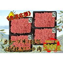 【ふるさと納税】オリーブ牛 ミンチ 2000g | 肉 お肉 にく 食品 香川県産 人気 おすすめ 送料無料 ギフト