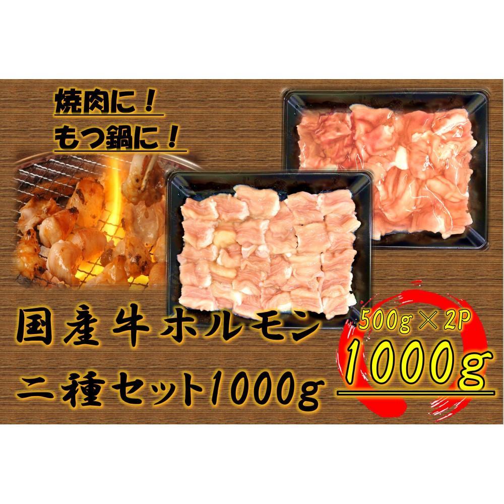 【ふるさと納税】国産牛 ホルモン二種セット1000g | 肉 お肉 にく 食品 香川県産 人気 おすすめ 送料無料 ギフト