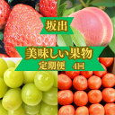 【ふるさと納税】<定期便>坂出の美味しい果物定期便 季節の果物を年間4回に分けてお届け! | フルーツ 果物 くだもの 食品 人気 おすすめ 送料無料