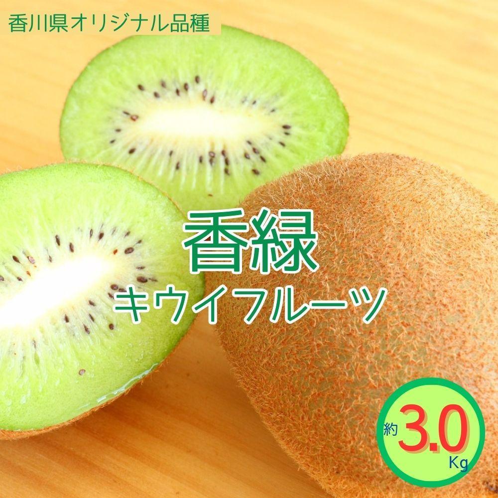 【ふるさと納税】<先行受付 2025年発送>香緑 キウイフルーツ 約3.0kg | フルーツ 果物 くだもの 食品 人気 おすすめ 送料無料
