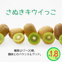 【ふるさと納税】<先行受付 2025年発送>さぬきキウイっこ キウイフルーツ 約1.8kg | フルーツ 果物 くだもの 食品 人気 おすすめ 送料無料