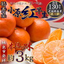 【ふるさと納税】特秀品!小原紅早生みかん 約3kg【坂出発祥の真っ紅なお蜜柑】(4)