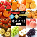 【ふるさと納税】【全12回】《プレミアム等級選果実!》坂出市四季のオススメ!旬果実単品定期便♪