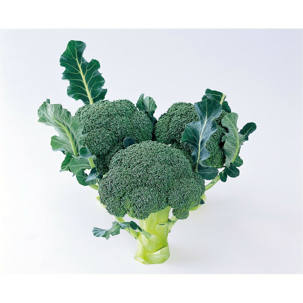 【ふるさと納税】ブロッコリー 約2.5kg×2