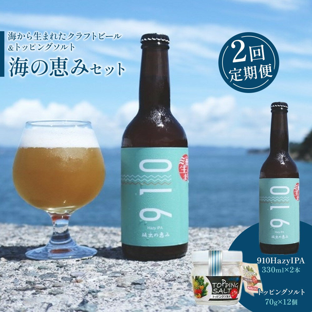 [全2回発送]日本海水 海の恵みセット([1回目]はクラフト発泡酒「910」330 ml × 2本 [2回目]はトッピングソルト70g × 12個 をお届け)