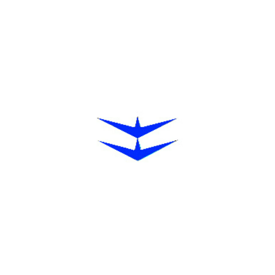 Shop icon