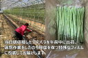 香川県善通寺市の画像2