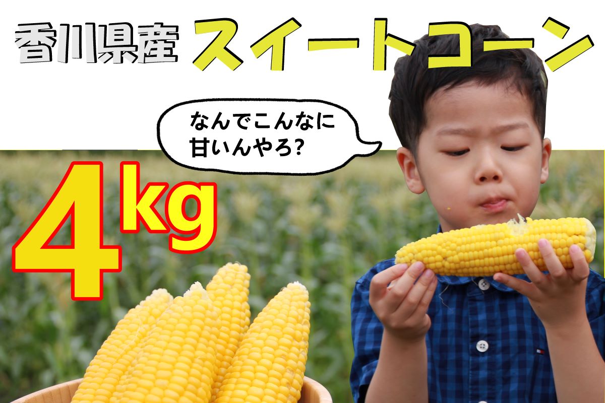 【ふるさと納税】2025年産 善通寺市産スイートコーン 4kg 【2025年6月頃から発送開始予定のお品です】