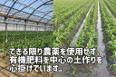 香川県善通寺市の画像2
