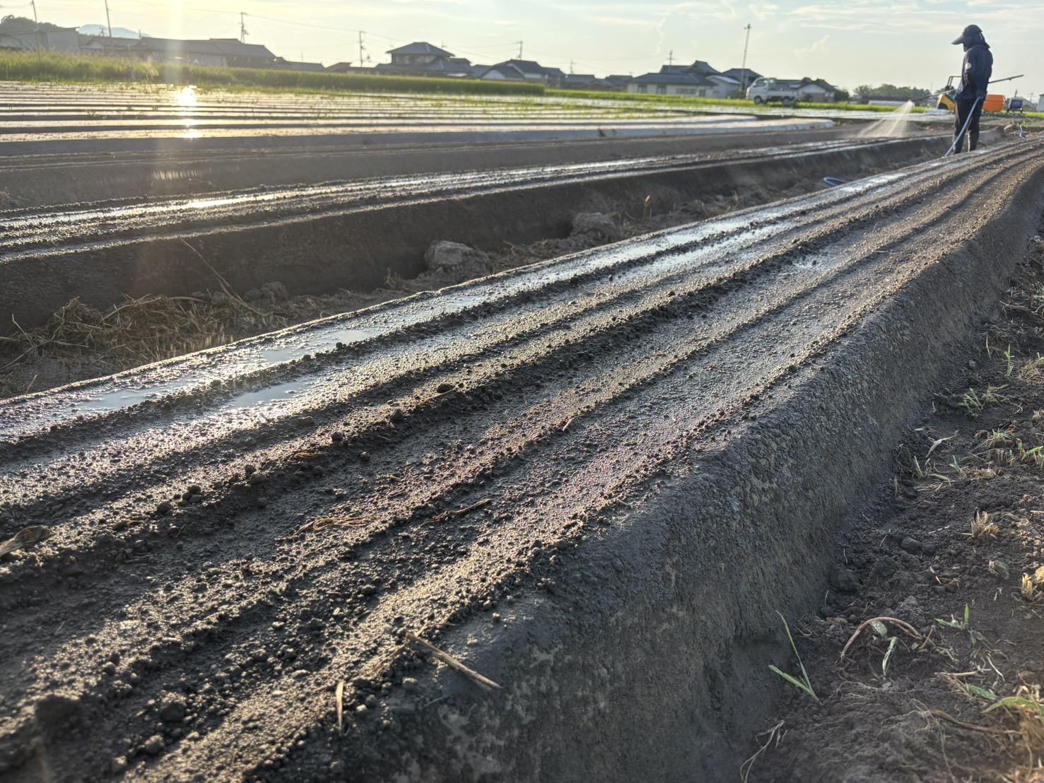 香川県善通寺市の画像2
