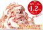 【ふるさと納税】 豚肉 切り落とし こま切れ 4.2kg(500g×8袋プラス200g×1袋)小分け 冷凍 国産 香川県 善通寺市 人気 12,000円