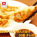 【ふるさと納税】讃岐うどんで包んだ餃子 【加工品/冷凍/餃子