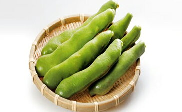 【ふるさと納税】そら豆　4kg　【野菜・そらまめ　】　お届け：2020年5月上旬〜5月下旬