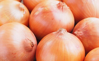 産地直送Growble農人こだわりのたまねぎ(もみじ3号)20kg 【野菜・玉ねぎ・たまねぎ】 お届け:2019年7月上旬〜7月下旬