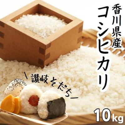 【ふるさと納税】令和3年 香川県産「コシヒカリ」 10kg 讃岐育ち 精米　【お米・こしひかり・おこめ・白米　】　お届け：2021年9月上旬よりお届け開始･･･