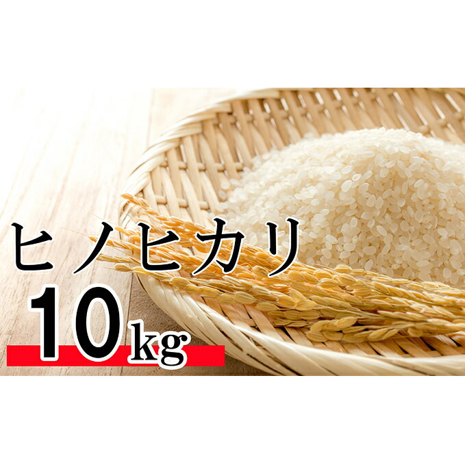 【ふるさと納税】令和元年産　新米　香川県産「ヒノヒカリ」 10kg　【お米・白米・お...