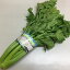 【ふるさと納税】ミニセロリ 約5kg 【野菜・野菜・野菜セット】 お届け:2020年1月上旬〜2020年5月下旬