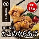 【ふるさと納税】絶品!子供から大人まで大満足!香川県産 たこ...