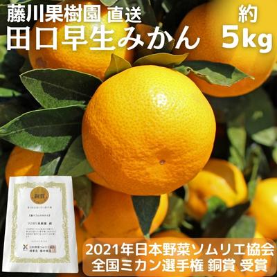 【ふるさと納税】2022年秋よりお届け 田口早生みかん　約5kg　【果物類・柑橘類・柑橘・みかん・ミカン・フルーツ・蜜柑・くだもの】　お届け：2022年11月1日〜11月25日･･･