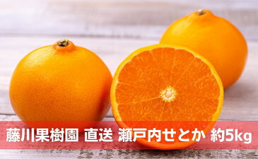 【ふるさと納税】数量限定 瀬戸内せとか 約5kg【ご家庭用】 【 みかん フルーツ 果物 柑橘類 5kg 】 お届け:2023年2月上旬〜3月中旬