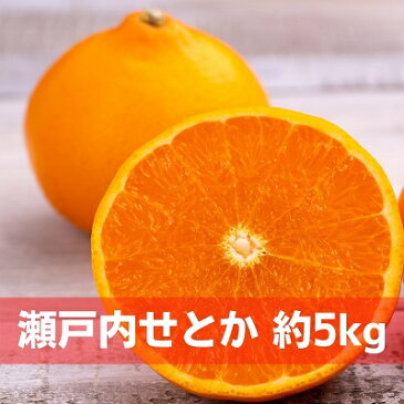 【ふるさと納税】数量限定 瀬戸内せとか 約5kg【ご家庭用】　【 みかん フルーツ 果物 柑橘類 5kg 】　お届け：2023年2月上旬〜3月中旬