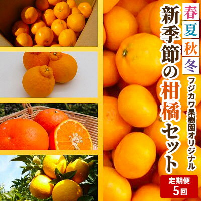 記事ID33827のサムネイル画像