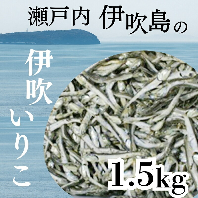 【ふるさと納税】伊吹いりこ 1.5kg 出汁 さぬき特産 魚貝 魚介類 お届け:ご寄附(入金)確認日より、約2週間以内に配送いたします。