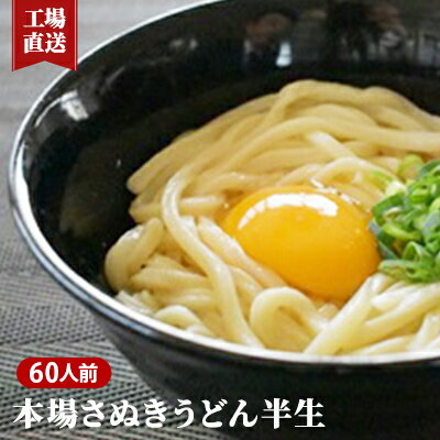 22位! 口コミ数「0件」評価「0」《工場直送》 讃岐 うどん 半生 60人前 香川 本場さぬきうどん　【 麺類 讃岐うどん 大容量 国産 半生麺 香川県 観音寺市 ご当地 高･･･ 