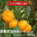 【ふるさと納税】2025年秋よりお届け みかん農園直送 高糖度温州みかん(由良早生)約5kg お届け:2025年10月1日〜10月31日