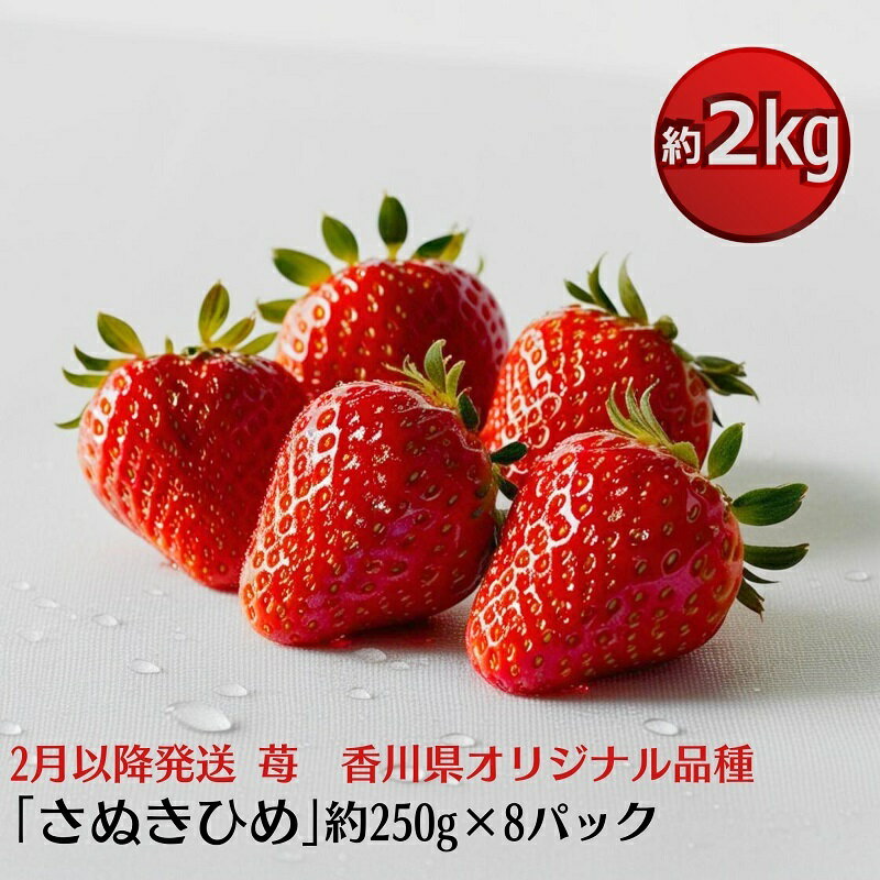 【ふるさと納税】【2月以降発送】いちご「さぬきひめ」約2kg　【果物類／いちご／苺／イチゴ／フルーツ　】　お届け：2024年2月上旬～5月下旬