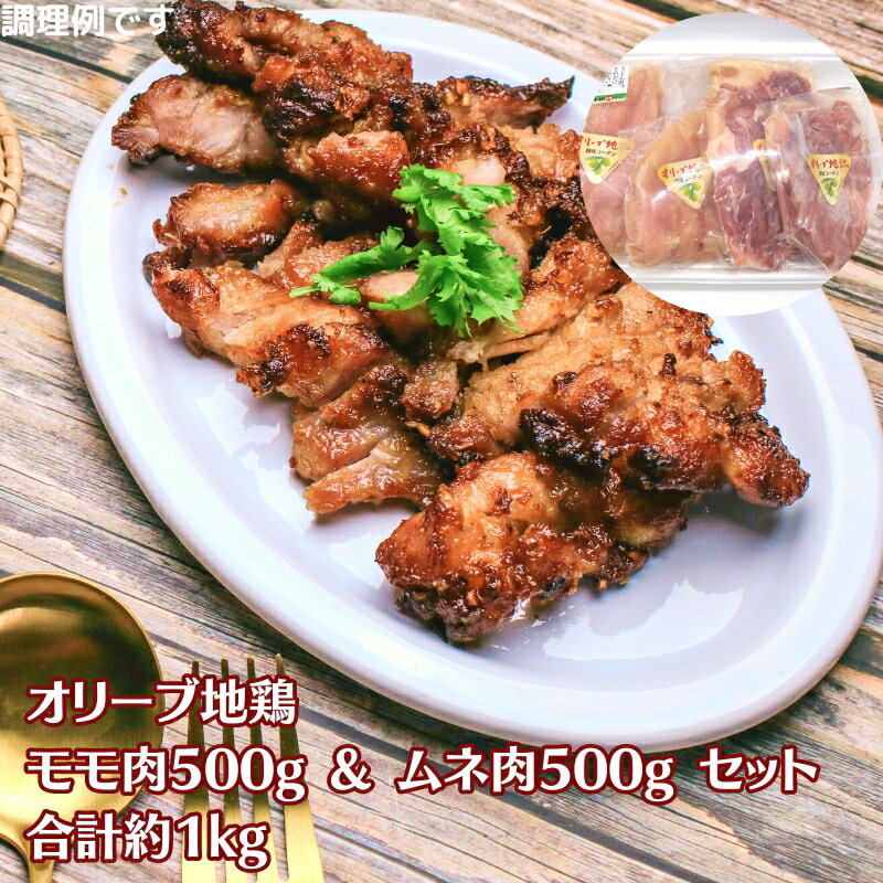 【ふるさと納税】オリーブ地鶏　モモ肉 500g & ムネ肉5