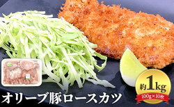 【ふるさと納税】《旨味・甘味が違う》オリーブ 豚ロース 1kg トンカツ用 真空パック 10枚セット(100g×10枚)　【 豚肉 とんかつ 赤身のうま味 脂の甘味 ポーク 国産 冷凍 豚丼 焼き豚 豚ロースステーキ ローストポーク 豚の角煮 バーベキュー スライス 焼豚 】･･･ 画像1