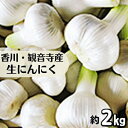 【ふるさと納税】生にんにく 約2kg　【野菜・ニンニク・大蒜　】　お届け：2024年5月上旬～5月下旬