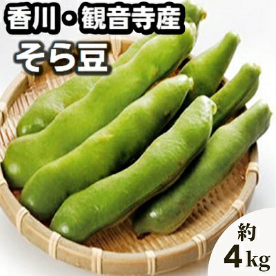 20位! 口コミ数「4件」評価「2」そら豆 約4kg　【野菜・そらまめ　】　お届け：2024年5月上旬～5月下旬